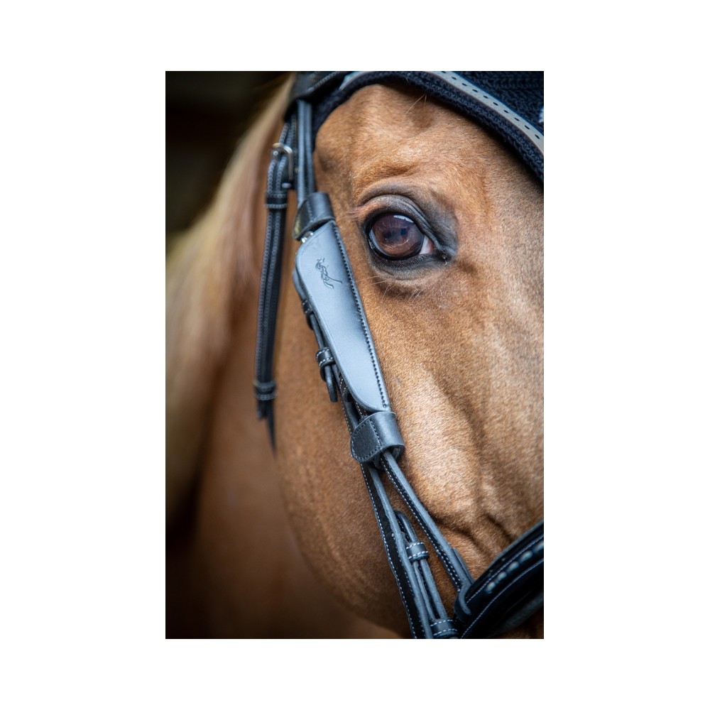 Œillères cuir Blinkers PENELOPE LEPREVOST • Sud Equi'Passion