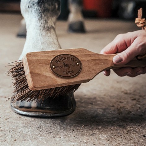 Brosse à sabot Islandaise BORSTIQ • Sud Equi'Passion