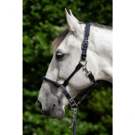Licol corde Carlotta HKM • Sud Equi'Passion