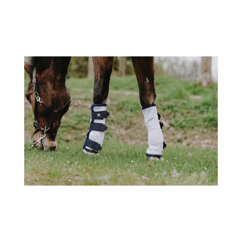 Guêtres anti-mouches mesh x4 RIDING WORLD • Sud Equi'Passion