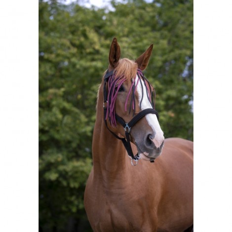 Frontal chasse-mouches NORTON • Sud Equi'Passion