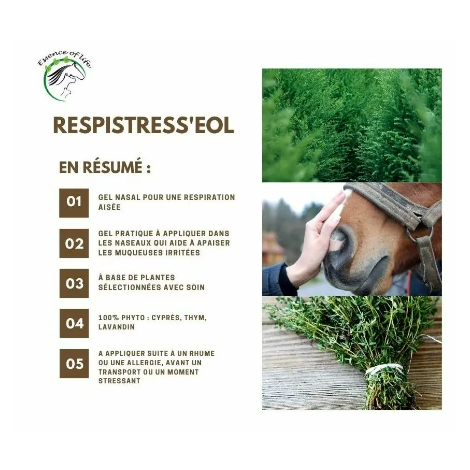 Respistress'eol Gel Nasal ESSENCE OF LIFE • Sud Equi'Passion