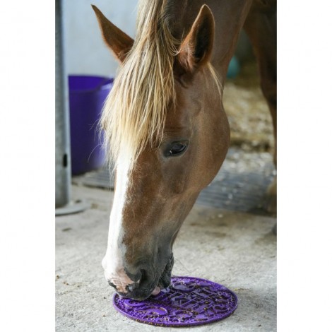 Pâte à lécher Graze paste LIKIT • Sud Equi'Passion