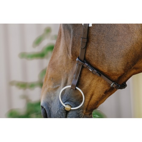 Bridon Freedom NORTON • Sud Equi'Passion