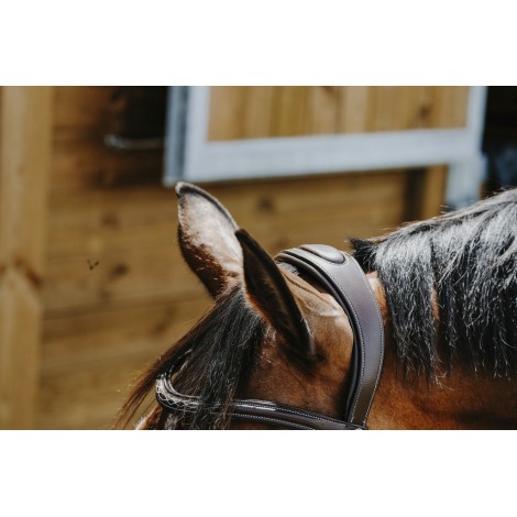 Bridon Freedom NORTON • Sud Equi'Passion