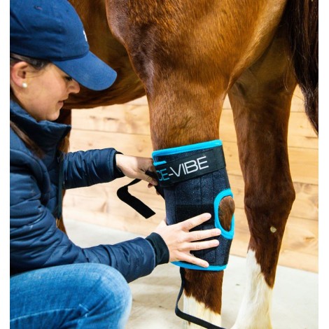 Guêtres Ice-Vibe Jarret HORSEWARE • Sud Equi'Passion