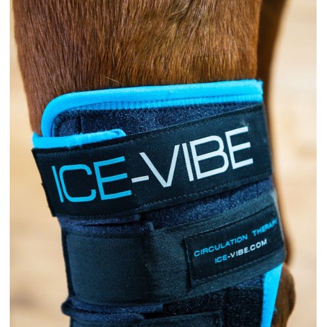 Guêtres Ice-Vibe Jarret HORSEWARE • Sud Equi'Passion