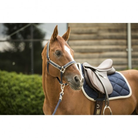 Tapis dressage Elegance 2022 LAMI-CELL • Sud Equi'Passion