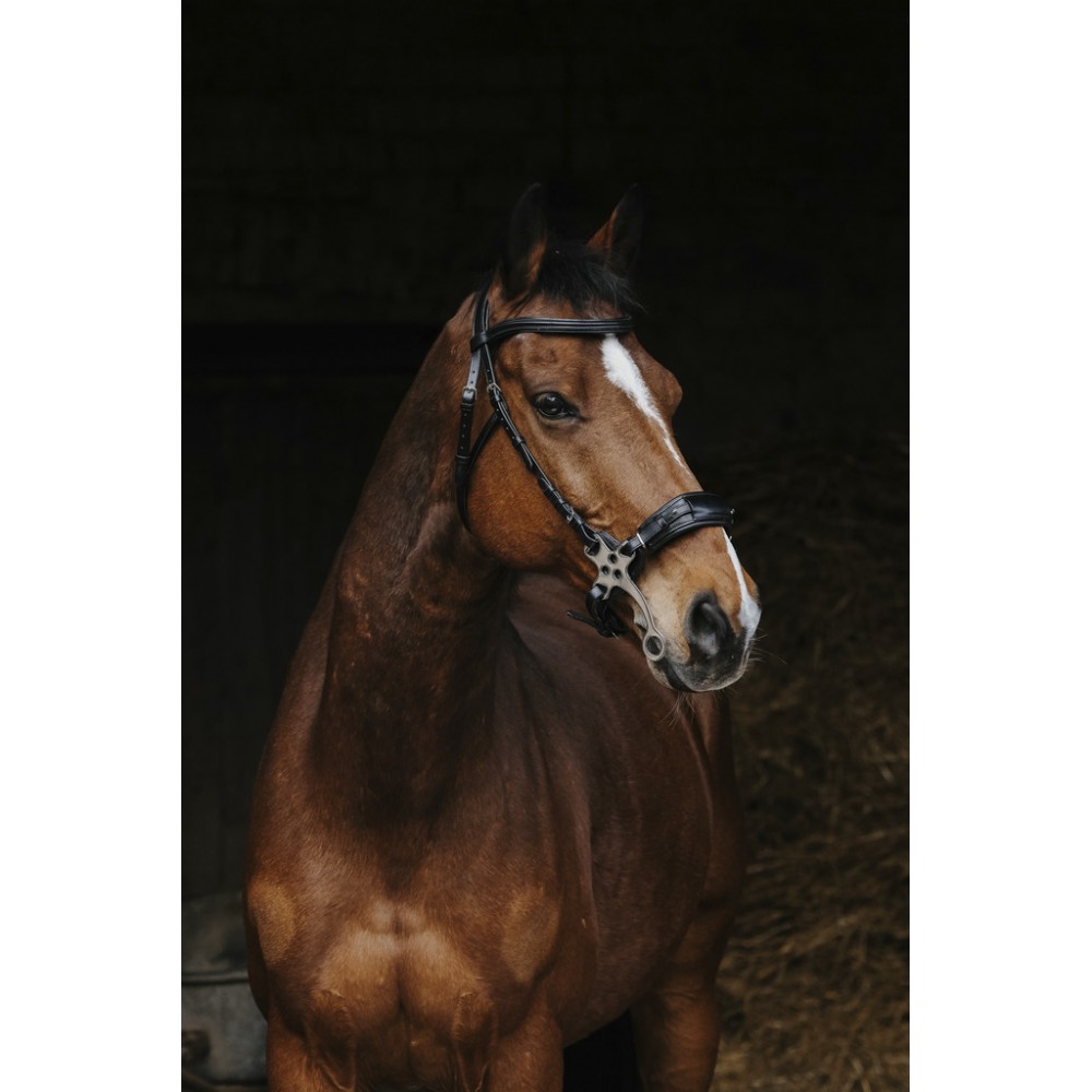 Bridon Hackamore NORTON PRO • Sud Equi'Passion