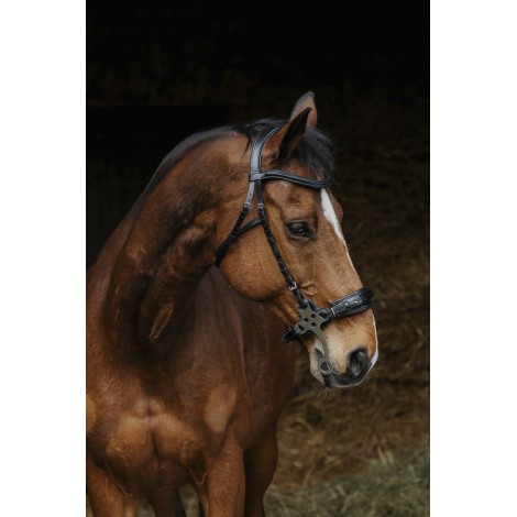 Bridon Hackamore NORTON PRO • Sud Equi'Passion