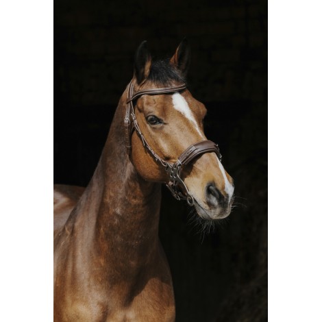 Bridon Hackamore NORTON PRO • Sud Equi'Passion