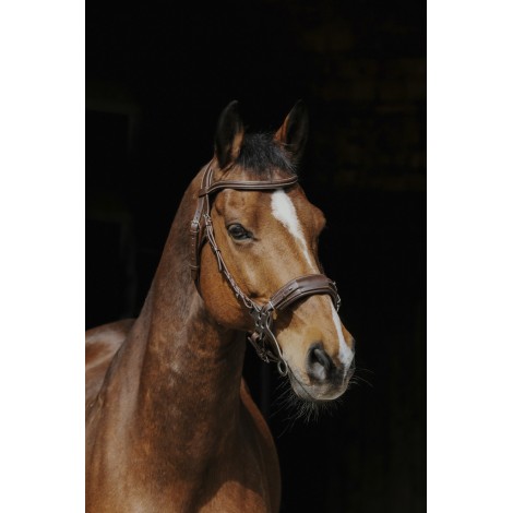 Bridon Hackamore NORTON PRO • Sud Equi'Passion