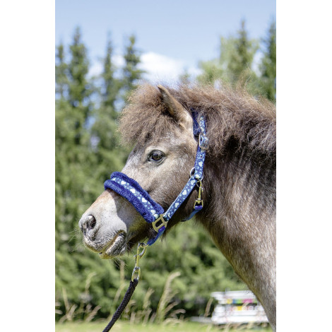 Licol Heart HKM • Sud Equi'Passion