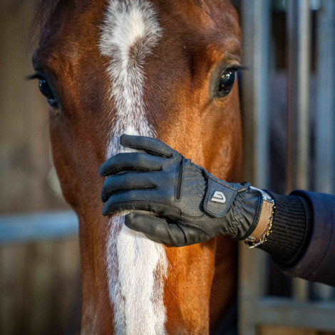 Gants d'équitation Classic Riding GLOVERS • Sud Equi'Passion