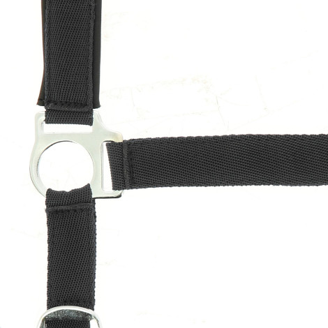 Licol nylon doublé néoprène NORTON • Sud Equi'Passion
