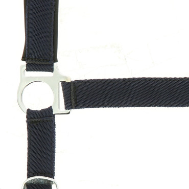 Licol nylon doublé néoprène NORTON • Sud Equi'Passion