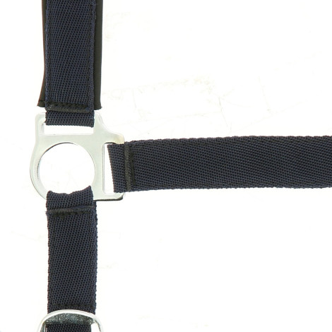 Licol nylon doublé néoprène NORTON • Sud Equi'Passion
