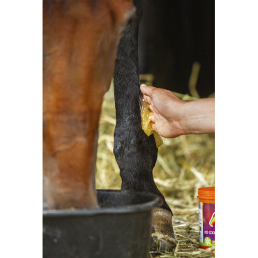 Gel réfrigérant EQUINATURA