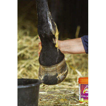Gel réfrigérant EQUINATURA