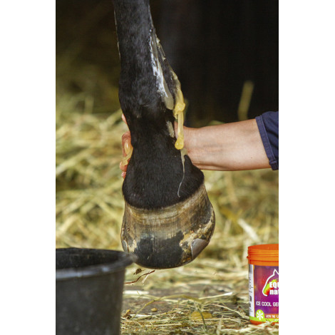 Gel réfrigérant EQUINATURA • Sud Equi'Passion
