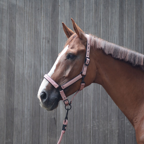 Licol nylon Charming LAMI-CELL • Sud Equi'Passion