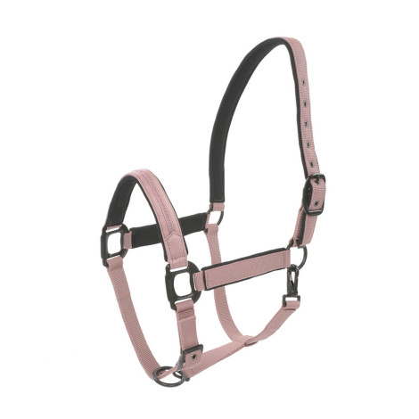 Licol nylon Charming LAMI-CELL • Sud Equi'Passion