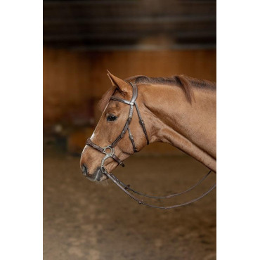 Bridon Hackamore HFI Brun