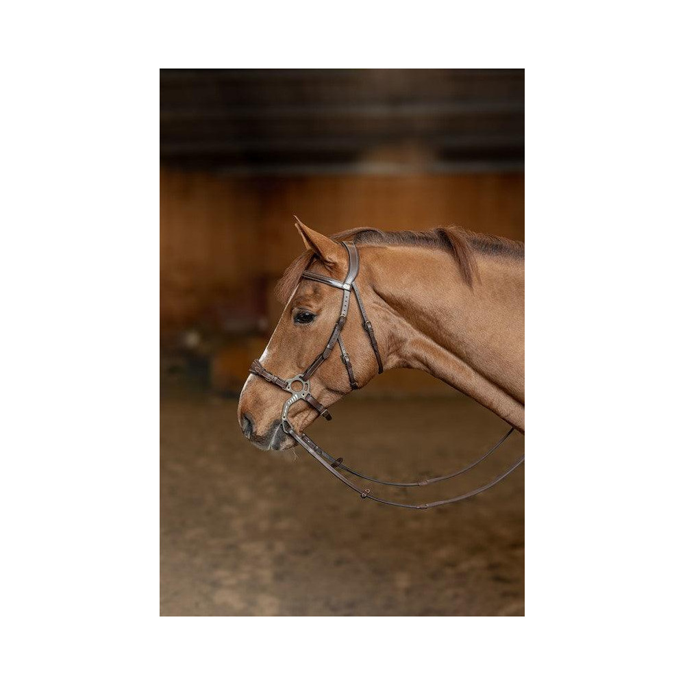 Bridon Hackamore HFI • Sud Equi'Passion