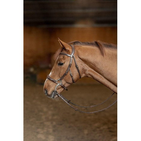 Bridon Hackamore HFI • Sud Equi'Passion