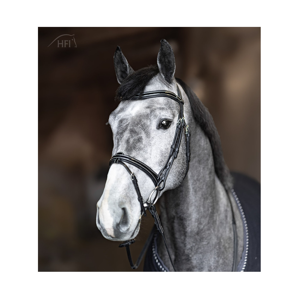 Bridon combiné Painted HFI • Sud Equi'Passion