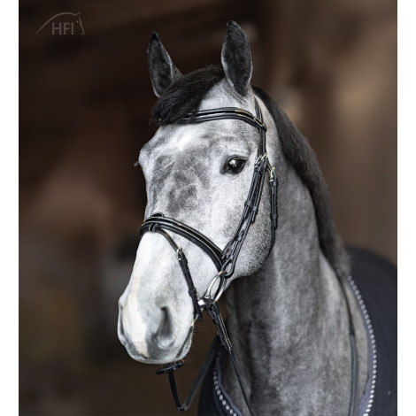 Bridon combiné Painted HFI • Sud Equi'Passion