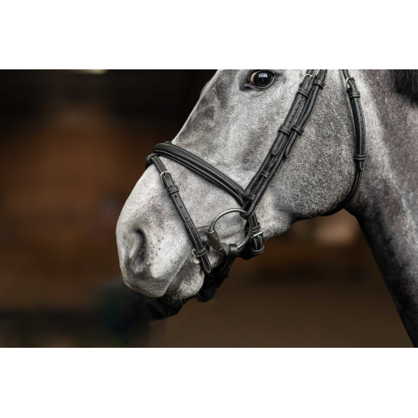 Bridon combiné Flex HFI • Sud Equi'Passion