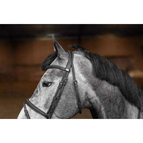 Bridon combiné Flex HFI • Sud Equi'Passion