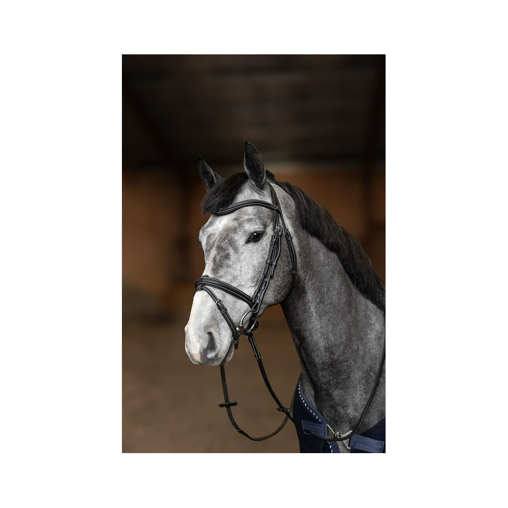 Bridon combiné Flex HFI • Sud Equi'Passion