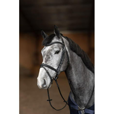 Bridon combiné Flex HFI • Sud Equi'Passion