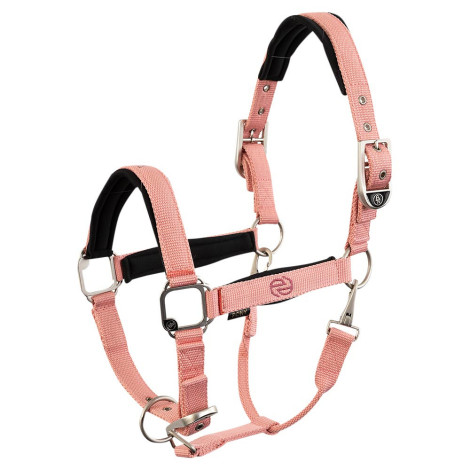 Licol nylon Eevolv Idylle BR • Sud Equi'Passion