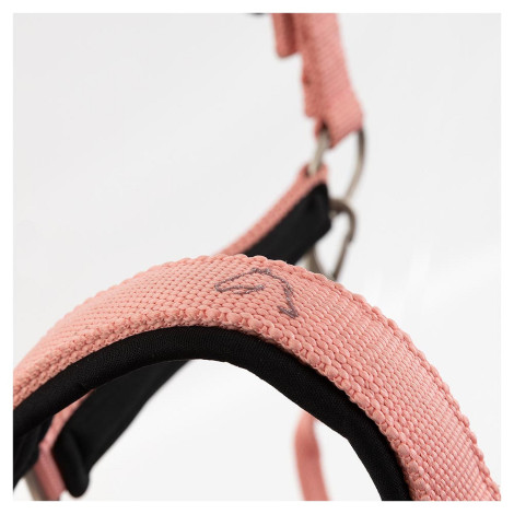 Licol nylon Eevolv Idylle BR • Sud Equi'Passion