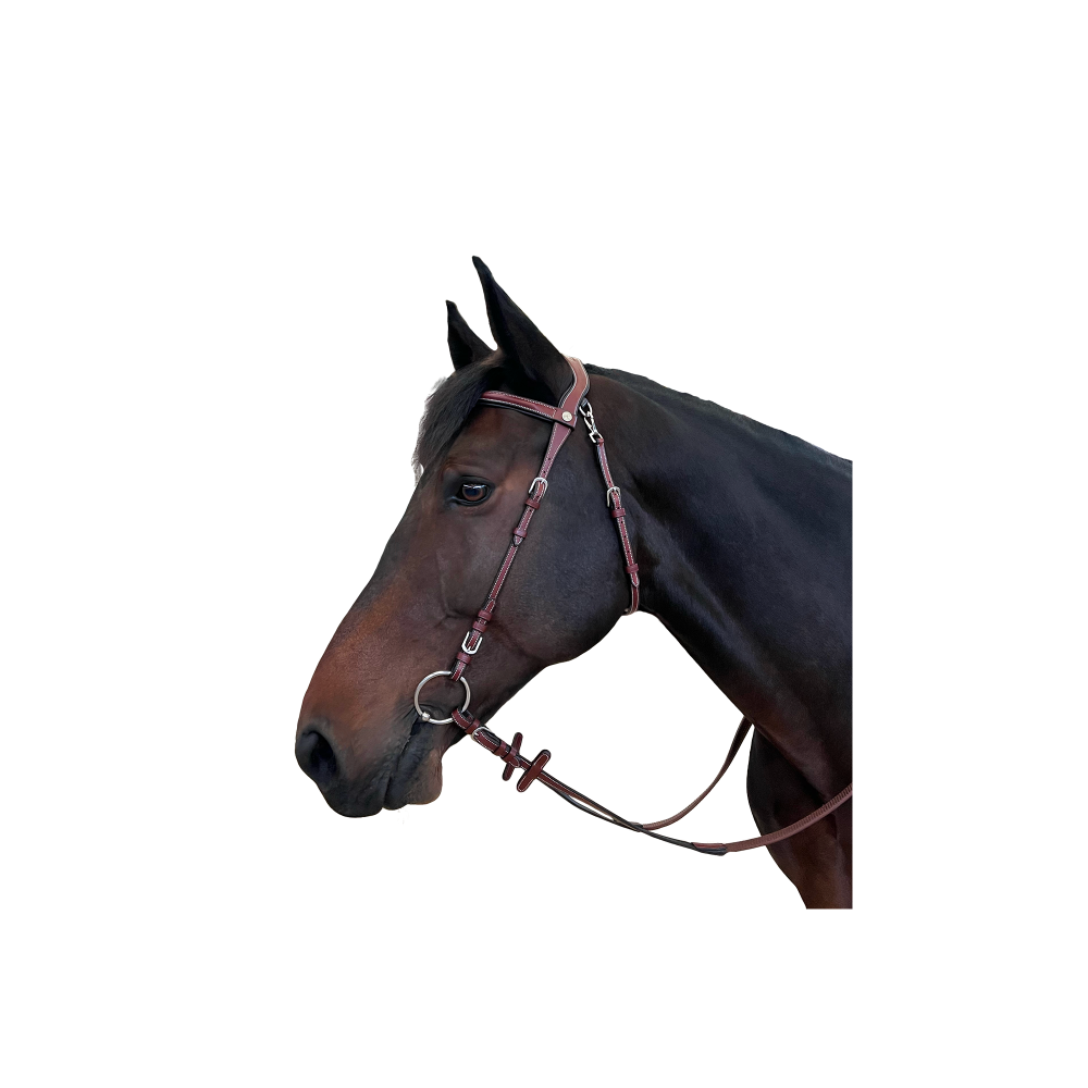 Bridon cuir Freedom FLAGS&CUP • Sud Equi'Passion