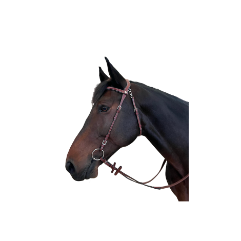 Bridon cuir Freedom FLAGS&CUP • Sud Equi'Passion