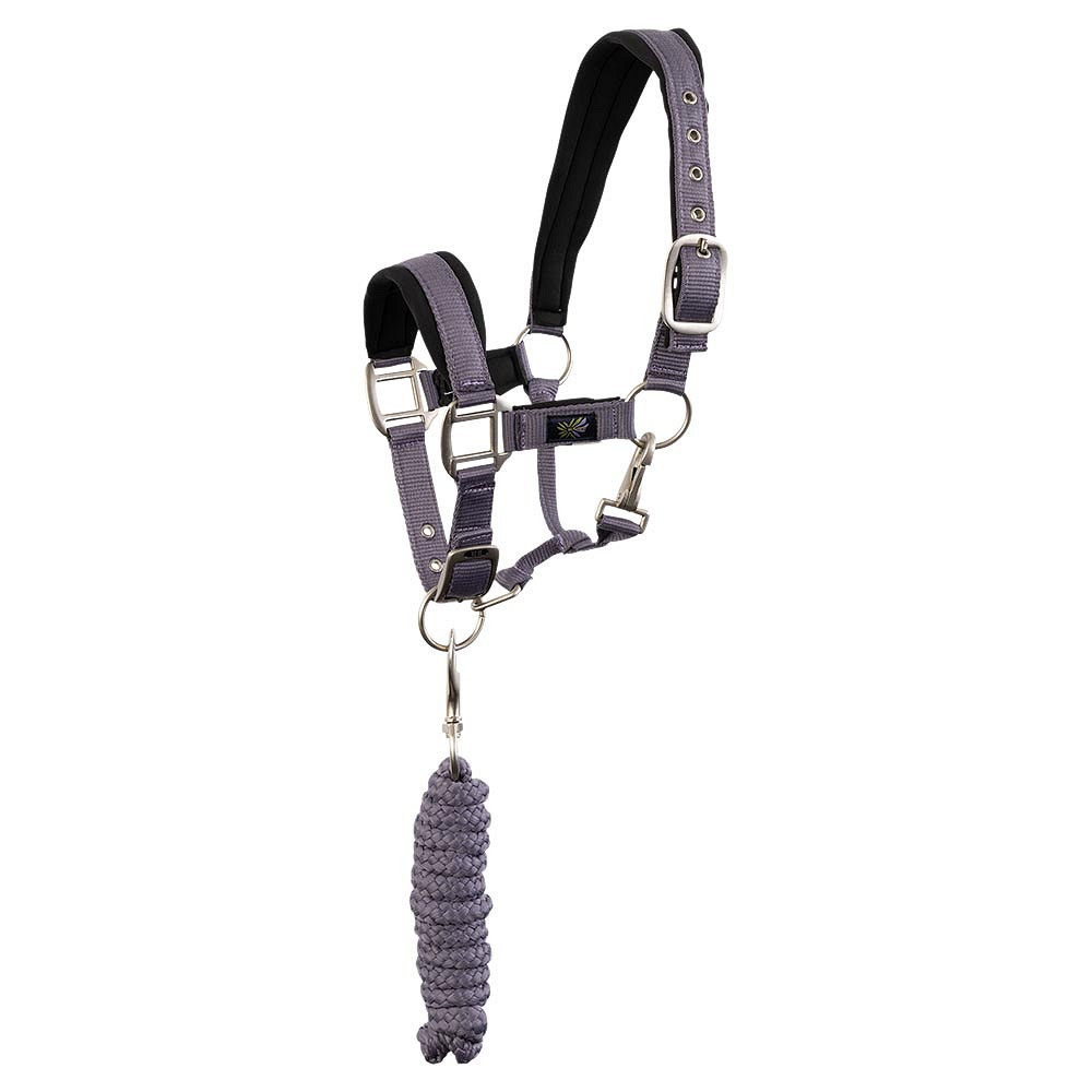 Set licol et longe Mini Horse BR • Sud Equi'Passion