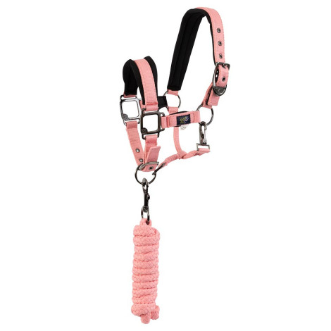 Set licol et longe Mini Horse BR • Sud Equi'Passion