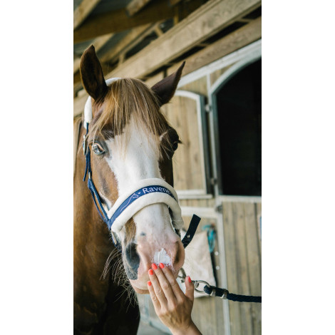 Crème solaire Sun Protec RAVENE • Sud Equi'Passion