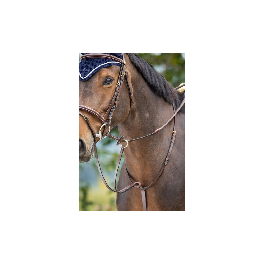 Martingale à anneaux HFI • Sud Equi'Passion