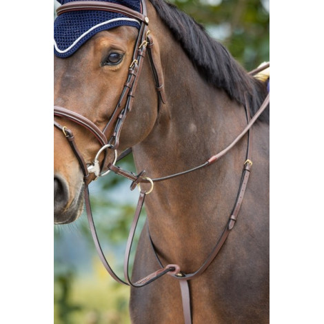 Martingale à anneaux HFI • Sud Equi'Passion