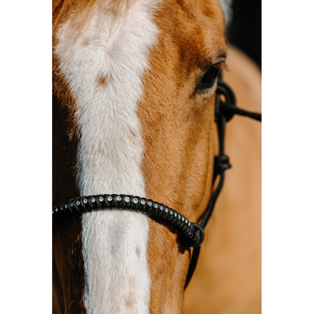 Licol éthologique nylon Diams NORTON • Sud Equi'Passion