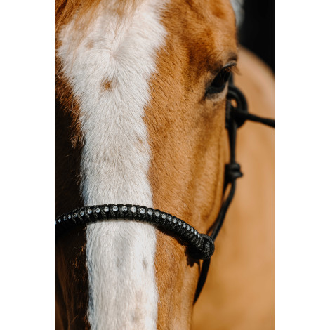 Licol éthologique nylon Diams NORTON • Sud Equi'Passion