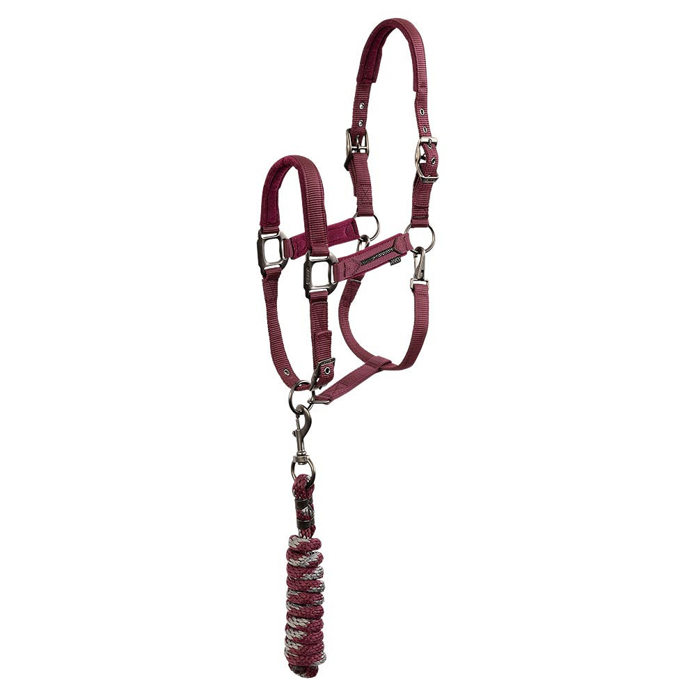 Set Licol et longe ATH252001 ANKY • Sud Equi'Passion