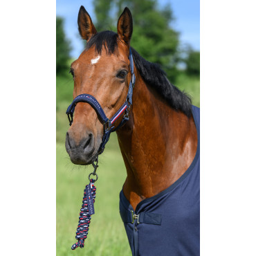 Set Licol et Longe Yale TOMMY HILFIGER • Sud Equi'Passion