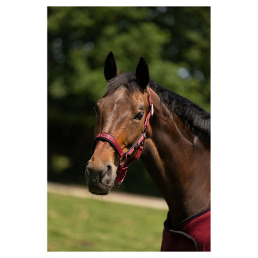 Licol nylon CLX BR • Sud Equi'Passion