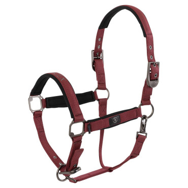 Licol nylon CLX BR Cabernet